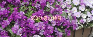 SEO効果の検証 SEO効果の検証