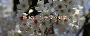 SEOのコンテンツ対策 SEOのコンテンツ対策