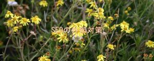 SEOの外部対策