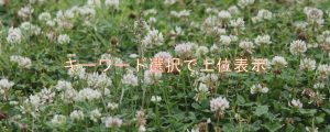 キーワード選択で上位表示 キーワード選択で上位表示