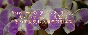 WordPressの アドレス (URL)、サイトアドレス (URL)を誤って変更した場合の対応策